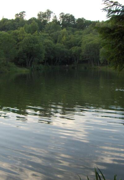 Durch den Abbau von Basalt ist dieser kleine See am Steinernen Haus entstanden.