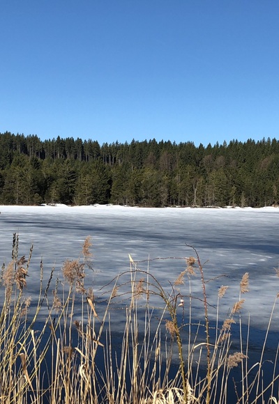 Eschacher Weiher im Frühjahr