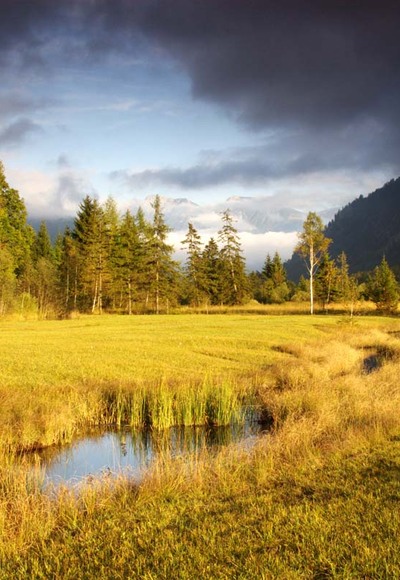 Wanderung durchs Weidmoos