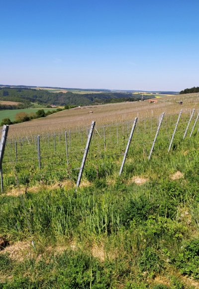 RH Wanderweg