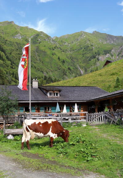 Kreealm-Kreehütte