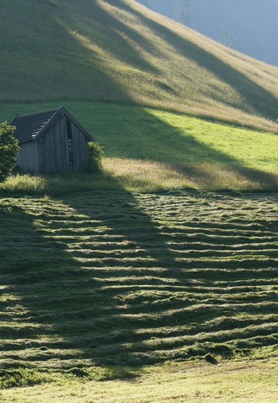 Wanderung - Ammergauer Wiesmahdweg