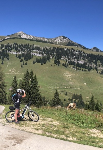 Blick von der Grabenbergalm auf Ackernalm und Hinteres Sonnwendjoch