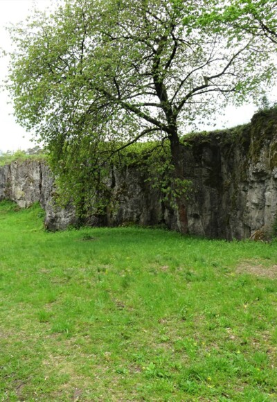 Rundweg 6 Zum Grüber Stein - Grub am Forst