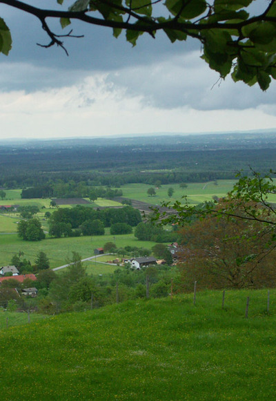 Auf dem Leibl Weg