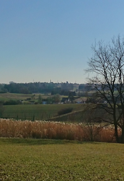 Blick auf die Hallertauer Hügellandschaft