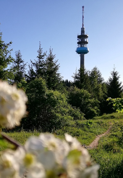 Blick auf den Fernmeldeturm