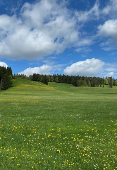 Allgäuer Kulturlandschaft im Frühjahr - bei der Wachters Alpe