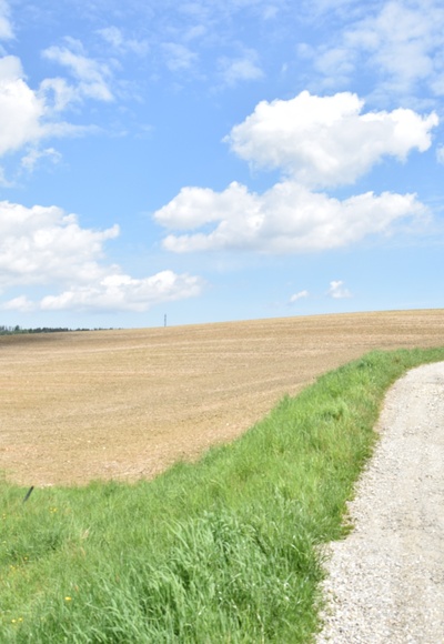 Blick in die Landschaft bei Stagl