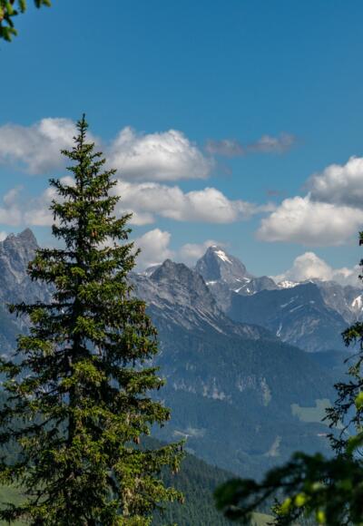 Ausblick vom Maisereck auf die Leoganger Steinberge