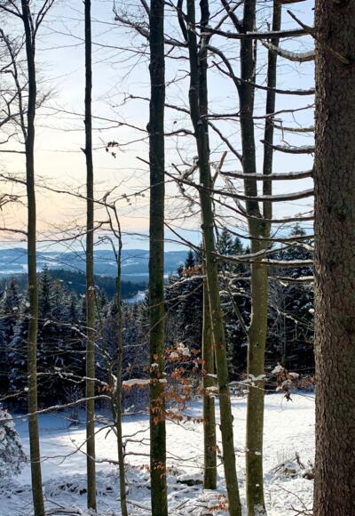 Ausblick beim Wandern im Winter im Hochfichtgebiet