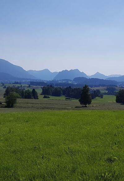 Blick auf das Voralpenland