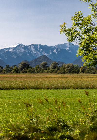 Blick über Moor auf Zugspitzmassiv