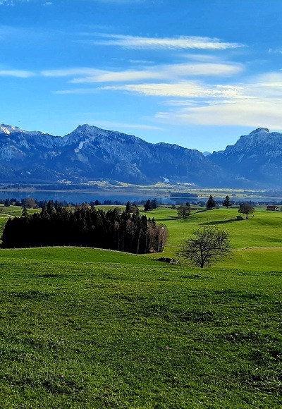 Panorama auf der Bilderbuchwanderung am Forggensee
