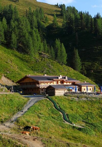 Loosbühelalm, 1.769 m
