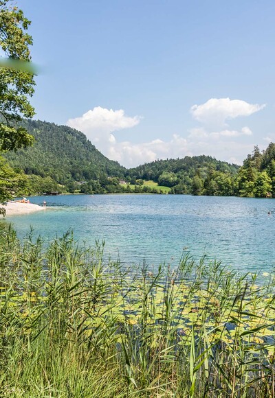 Spazierweg am Thumsee