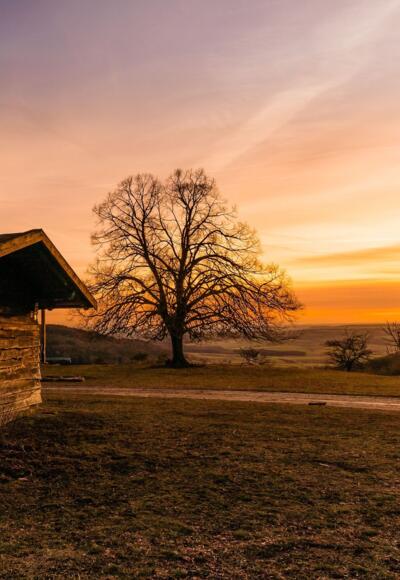 Sonnenuntergang an der Küpser Linde (c)frankenfreund.de