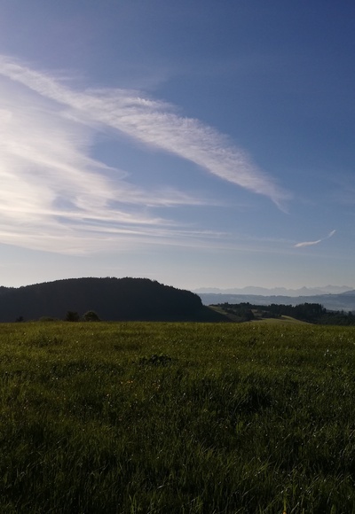 Blick von Wagenbühl auf den Mariaberg