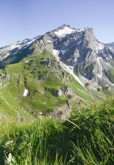 Blick vom Augstenberg auf die Pfälzerhütte und den Naafkopf