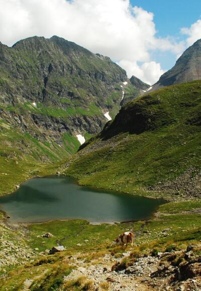 Blick auf den Unteren Landwirsee