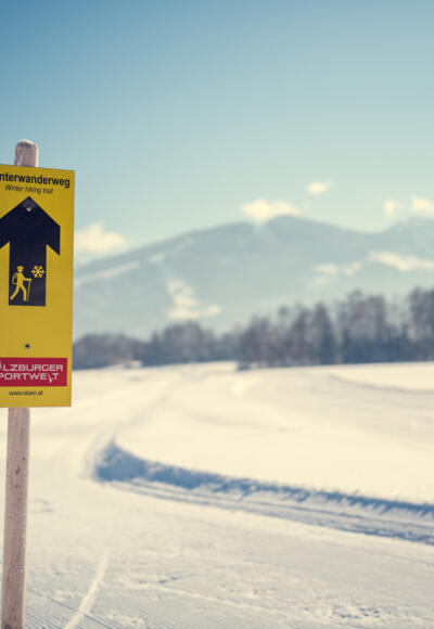 Winterwanderweg Bachweg