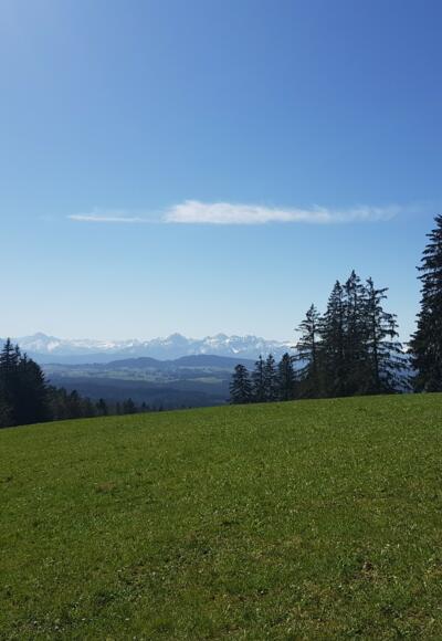 Römerweg zum Auerberg