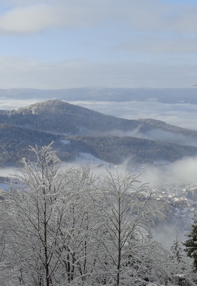 Aussichtspunkt Arberhochstraße