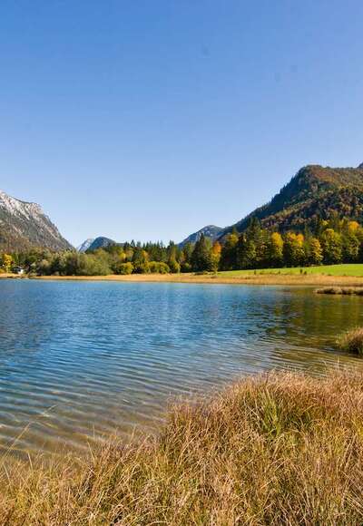 Mittersee