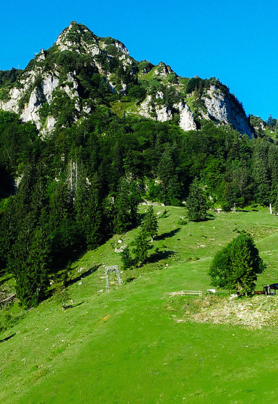 Bründlingalm mit Aufstieg zum Hochfelln