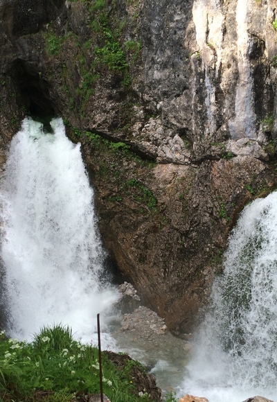 Dachserfall Abtenau