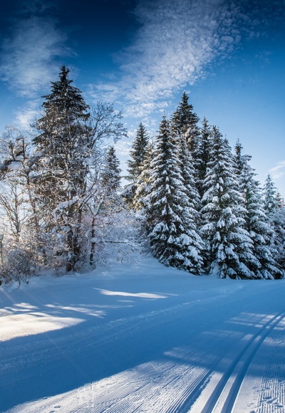 Langlaufloipe Flachauwinkl
