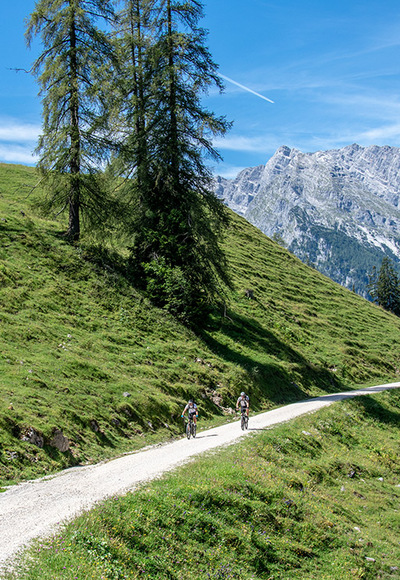 Mountainbiker auf dem Weg über die Büchsenalm zur Gotzenalm