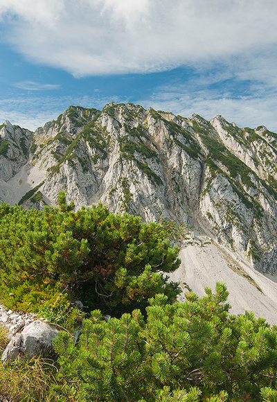 Weg zum hochstaufen © RoHa Fotothek