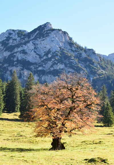 Ausblick auf dem Weg zur Vilser Alm