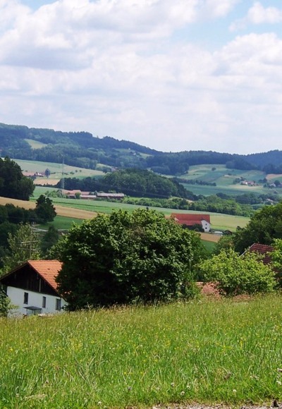 Blick vom Schellenberg