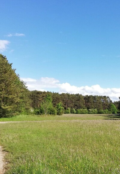 Heidepfad im Norden des Naturschutzgebietes Mallertshofer Holz