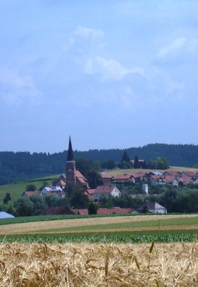 Blick auf Hirschhorn