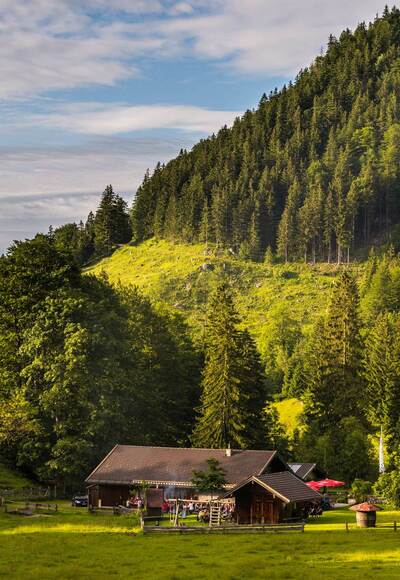 Samerberg - Blick auf die Doagl Alm