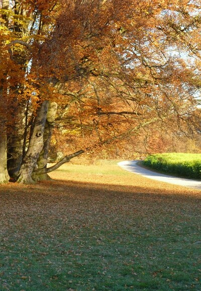 Am Schlosspark bei Schönau