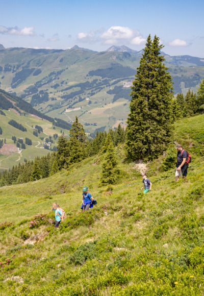 Wanderung zur Hacklbergalm in Hinterglemm