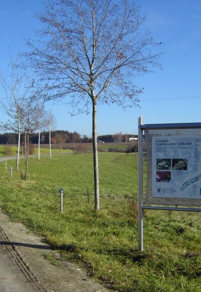 Gehölzlehrpfad bei Heiligenbrunn