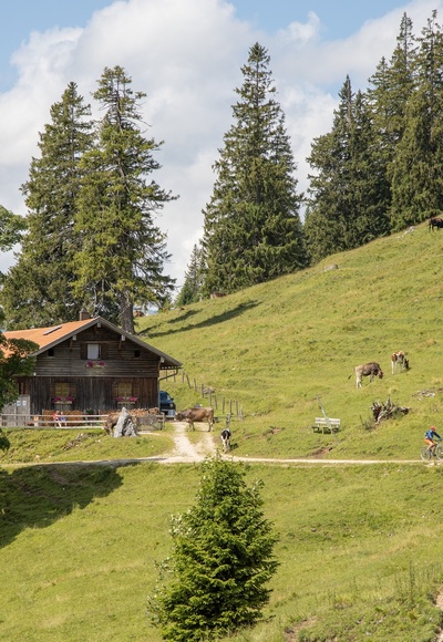 Bärenmoosalpe im Himmelreich am Kienberg