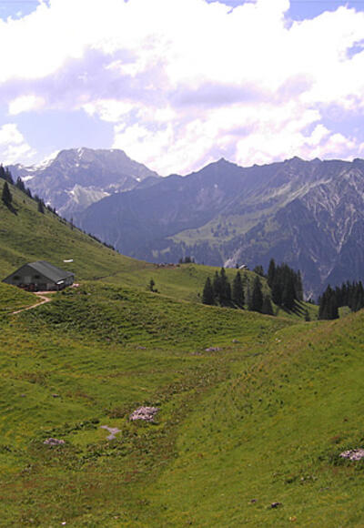 Blick zur Zipfelsalpe