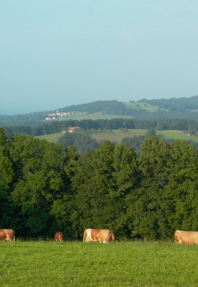 Blick vom Stadlberg