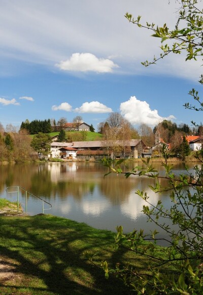 Lauser Weiher