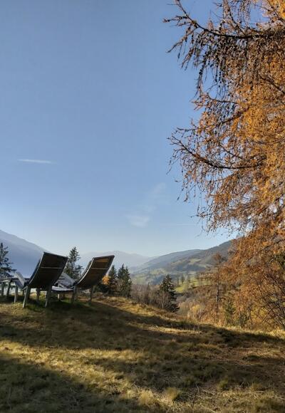 Logenplatz am Naglköpfl
