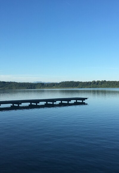 Hartsee