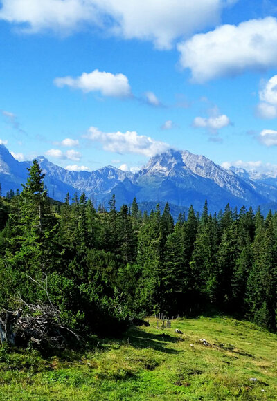 Ausblick von der Zehnkaser-Alm zu Watzmann und Hochkalter