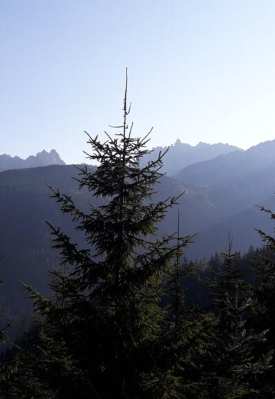 Blick auf den Gosaukamm und die Bischofsmütze