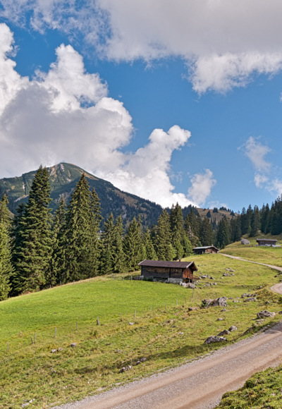 Gschwendtneralm - kurz vor der Hochalm